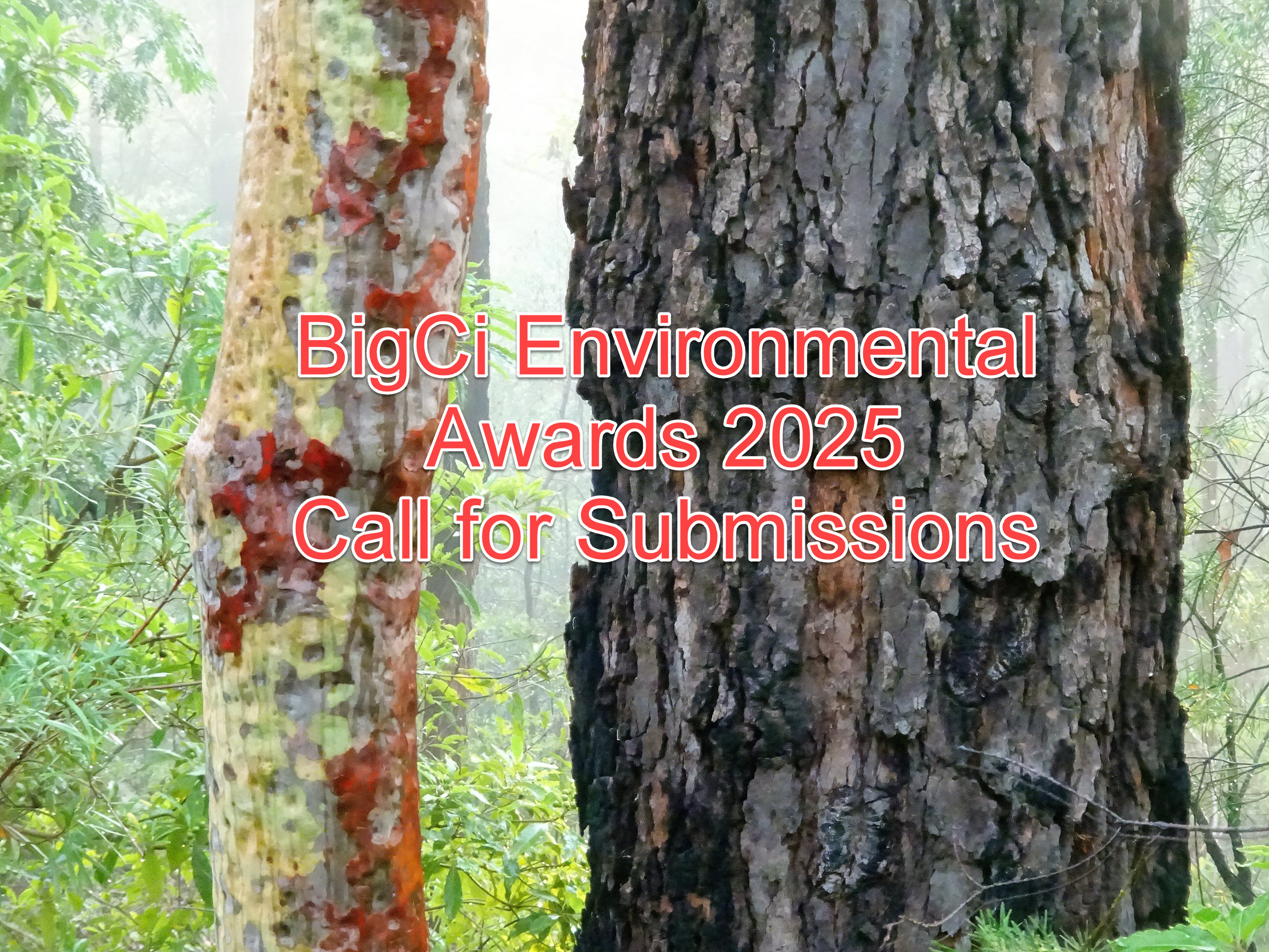 BigCi Environmental Awards 2025